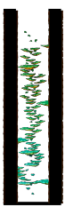 Minimap of The Tree Tunnel At the Forest Up North