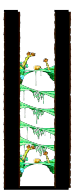 Minimap of Tree Dungeon, Forest Up North IX